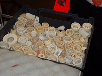 e4551f7be3d93645eb09d35efad6cf2a